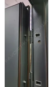 Двері «Імперія фанера», металізована емаль, три контури ущільнення