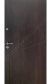 Вхідні двері «Протект» з металізованою емаллю і товщиною полотна 75 мм