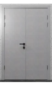 Міжкімнатні двійні двері «Techno-29-2»‎ Фаворит